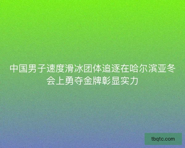 中国男子速度滑冰团体追逐在哈尔滨亚冬会上勇夺金牌彰显实力